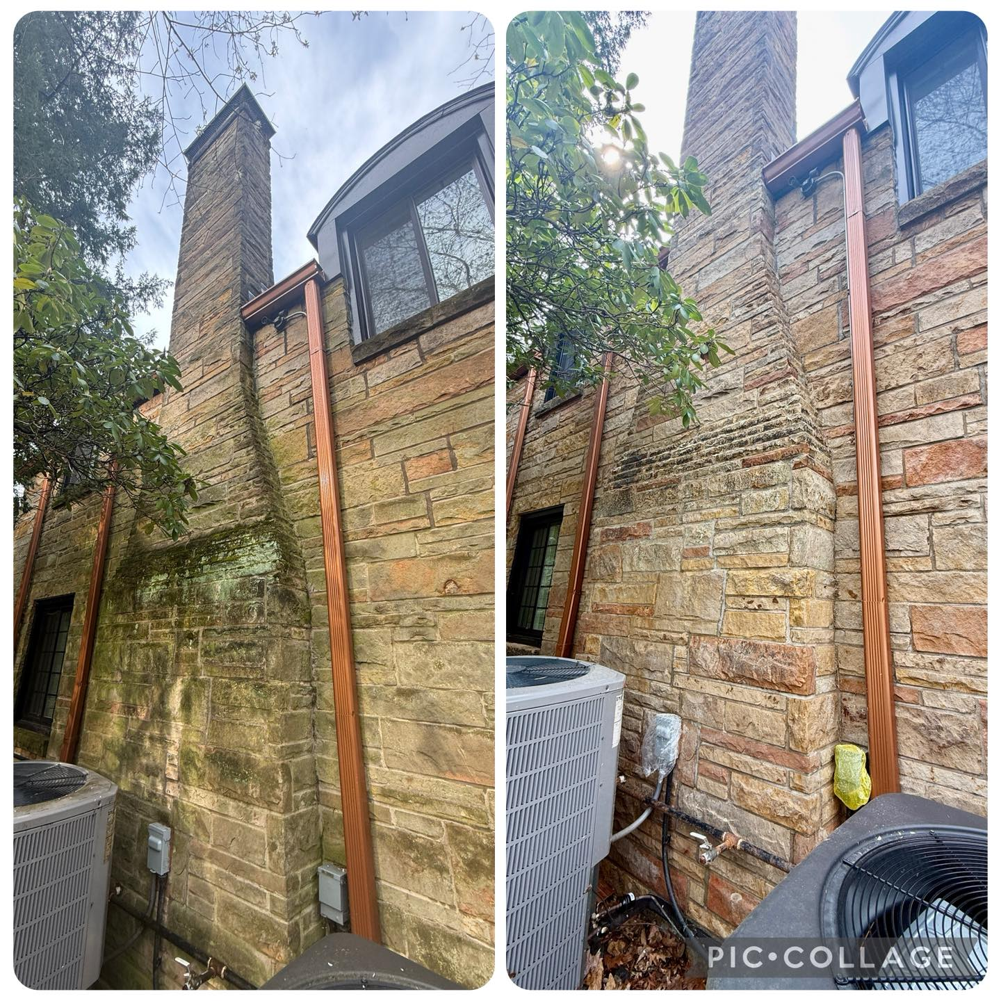 Before and after stone wall soft washing algae and moss removal