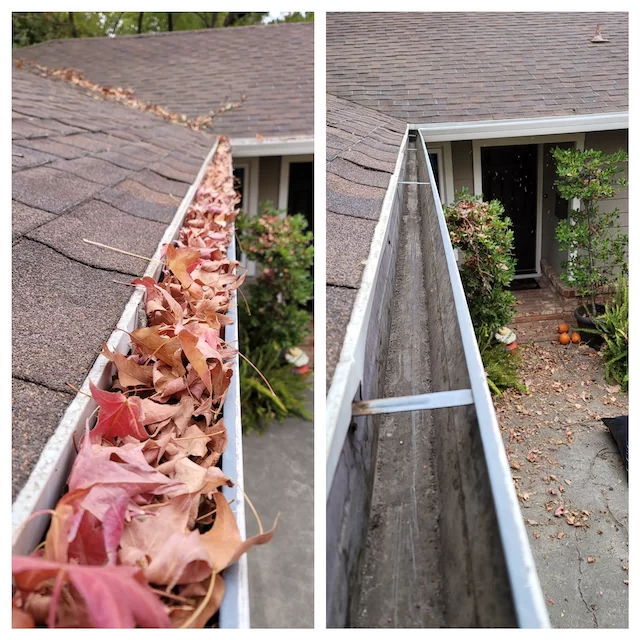 Before and after gutter cleaning leaf removal Terre Haute IN
