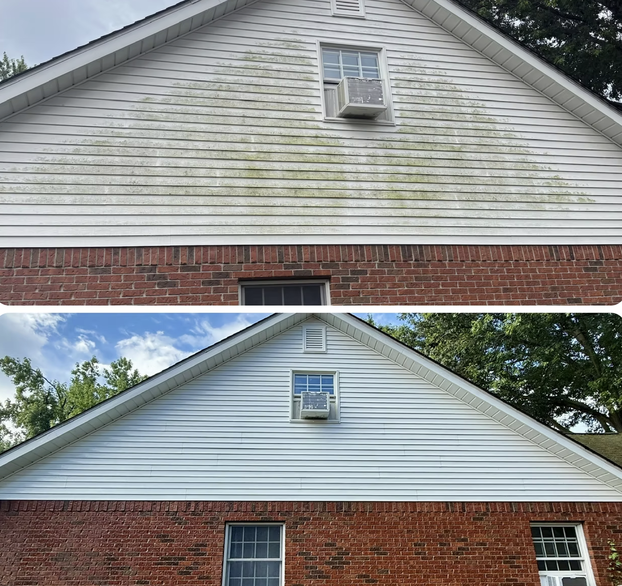 Before and after soft washing algae removal on vinyl siding