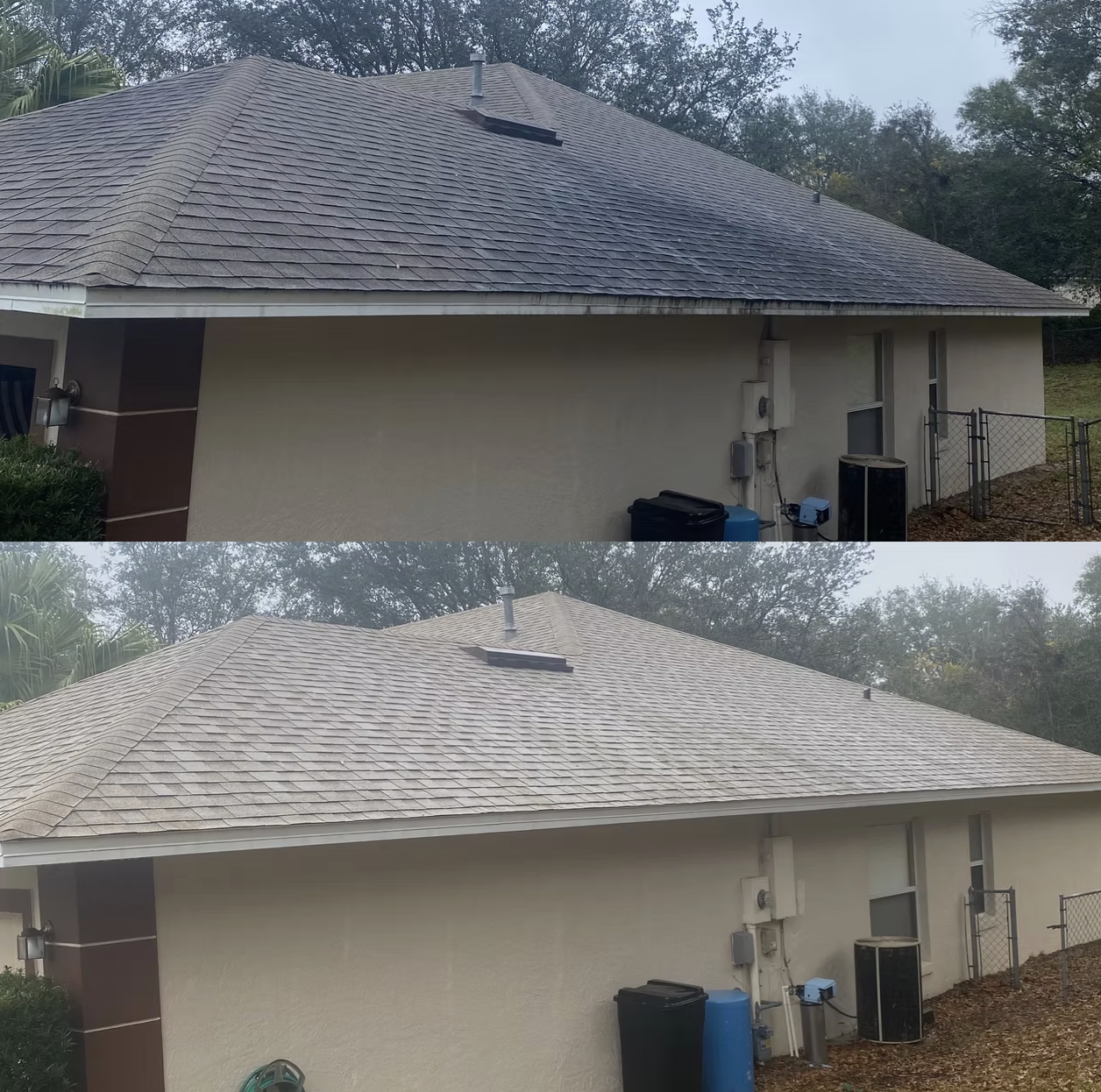 Before and after black streak removal from roof