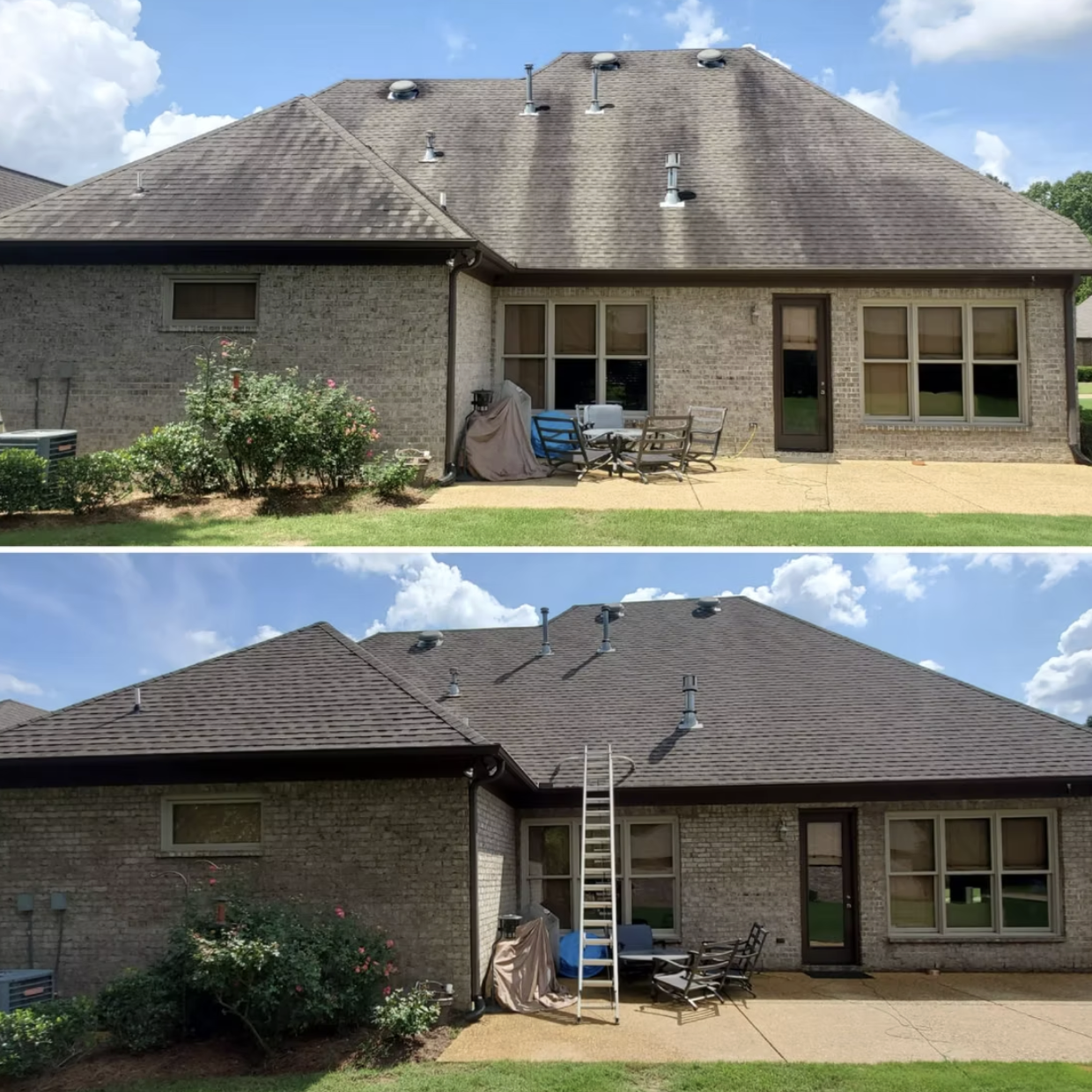Before and after algae removal from asphalt shingles